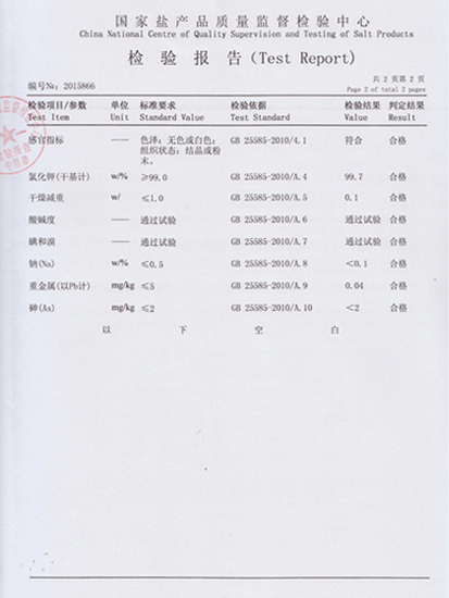 检测报告